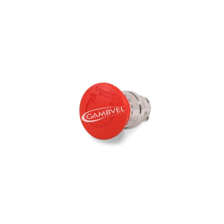Zb4bs844